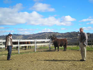 David & Gwen Smith North Star NSW & Westmar Qld